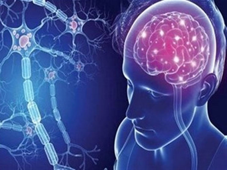 سلولهای بنیادی به کمک درمان “اماس” میآید