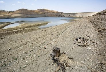 قطع درختان | تنش آبی چگونه نفس پایتخت را می گیرد؟