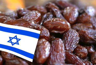 فراخوان رمضانی دنیا علیه خرما دزدی اسرائیل